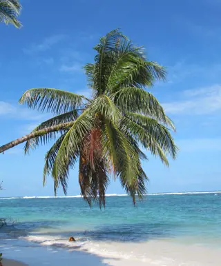 Inselleben in Bocas del Toro